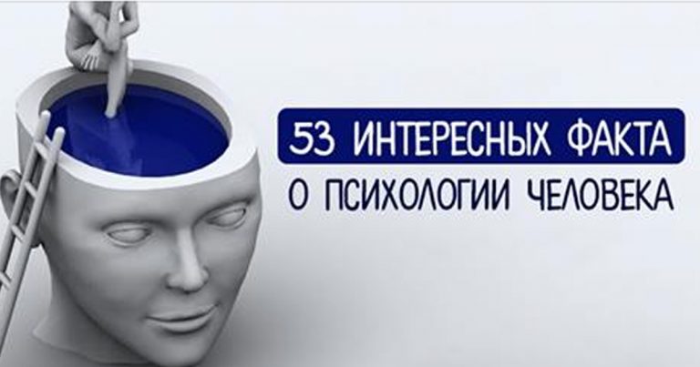 10 причин почему тельцы люди приступаем, сейчас